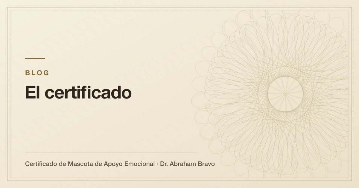 Ilustración del artículo: 7 señales de que un certificado de apoyo emocional no te va a servir